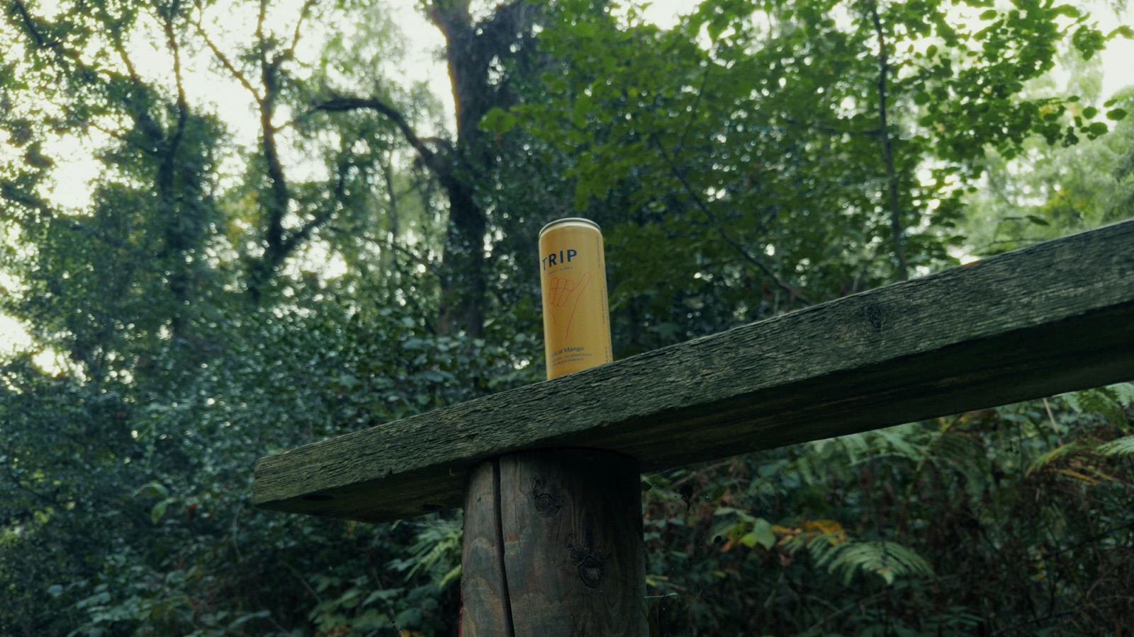 Trip Drink